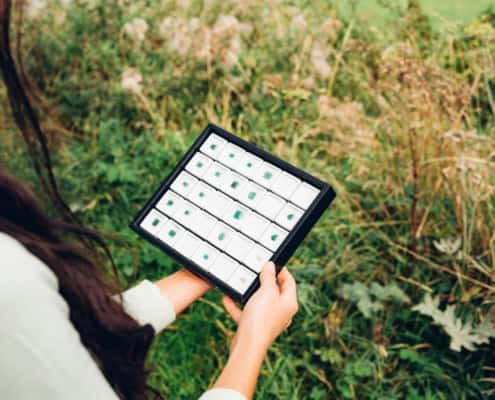 Expert agricole inspectant des cultures avec une tablette