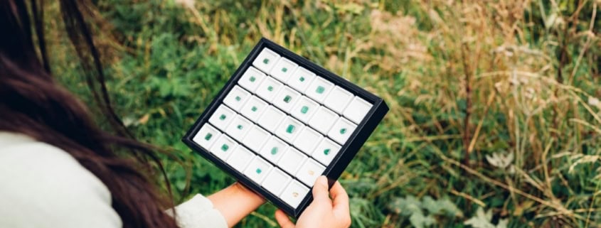Expert agricole inspectant des cultures avec une tablette